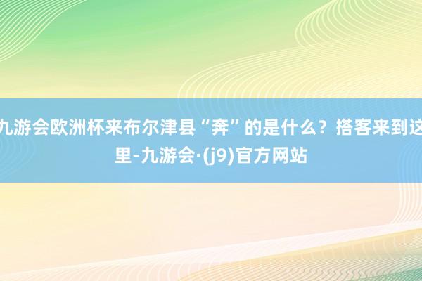 九游会欧洲杯来布尔津县“奔”的是什么？搭客来到这里-九游会·(j9)官方网站