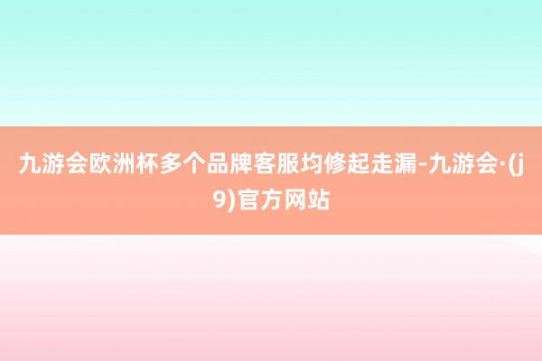 九游会欧洲杯多个品牌客服均修起走漏-九游会·(j9)官方网站