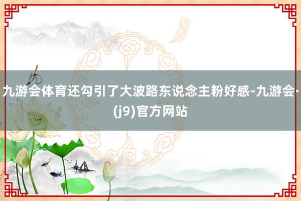 九游会体育还勾引了大波路东说念主粉好感-九游会·(j9)官方网站