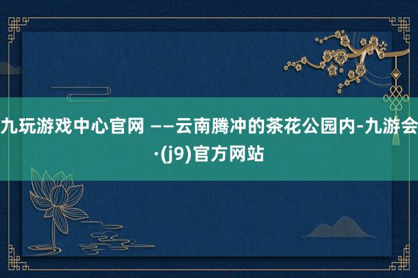 九玩游戏中心官网 ——云南腾冲的茶花公园内-九游会·(j9)官方网站