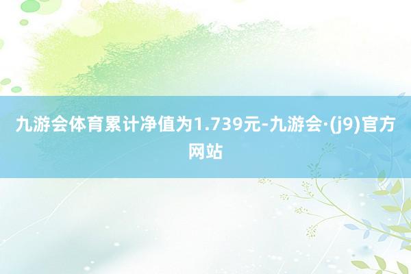 九游会体育累计净值为1.739元-九游会·(j9)官方网站