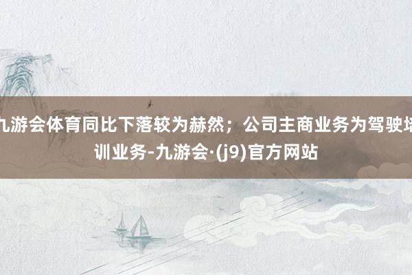 九游会体育同比下落较为赫然；公司主商业务为驾驶培训业务-九游会·(j9)官方网站