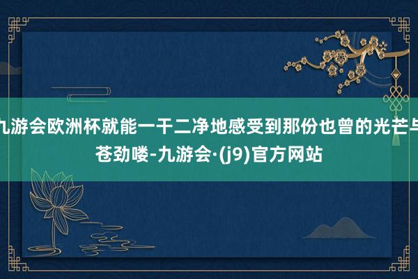九游会欧洲杯就能一干二净地感受到那份也曾的光芒与苍劲喽-九游会·(j9)官方网站