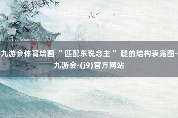 九游会体育绘画 ＂匹配东说念主＂ 腿的结构表露图-九游会·(j9)官方网站
