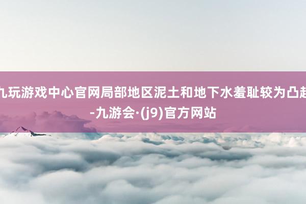 九玩游戏中心官网局部地区泥土和地下水羞耻较为凸起-九游会·(j9)官方网站