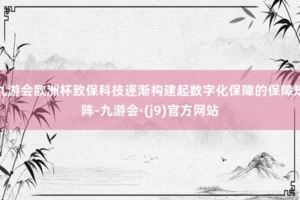 九游会欧洲杯致保科技逐渐构建起数字化保障的保障矩阵-九游会·(j9)官方网站