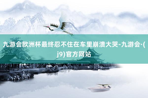 九游会欧洲杯最终忍不住在车里崩溃大哭-九游会·(j9)官方网站