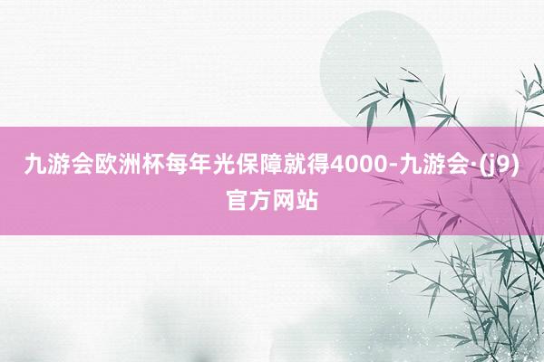 九游会欧洲杯每年光保障就得4000-九游会·(j9)官方网站